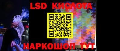 сатива Краснодар